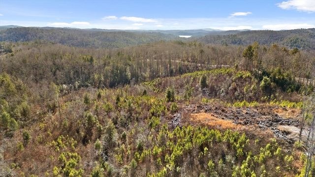 1776 Hap Holt Road, Ellijay, GA 30540