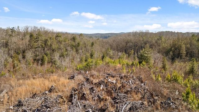 1776 Hap Holt Road, Ellijay, GA 30540