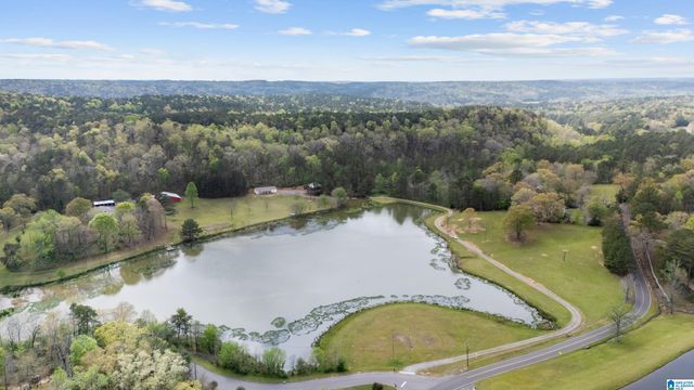 7550 SEDGEFIELD DRIVE, Morris, AL 35116