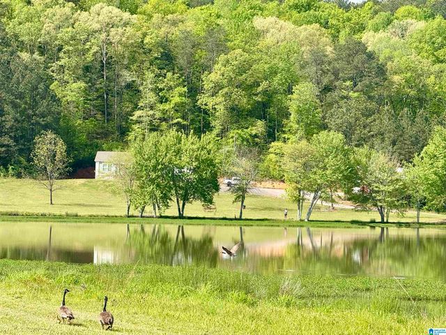 7550 SEDGEFIELD DRIVE, Morris, AL 35116