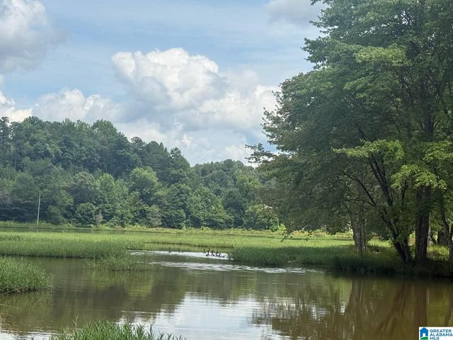 7550 SEDGEFIELD DRIVE, Morris, AL 35116