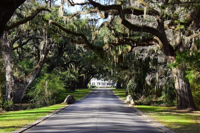 202 Spreading Oak Dr., Pawleys Island, SC 29585