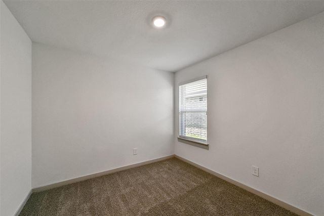 7834 Golden Rubia Lane, Rosharon, TX 77583