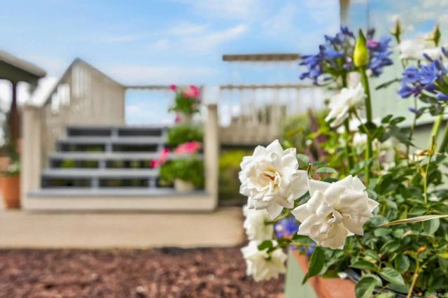 14621 Woods Valley Road, Valley Center, CA 92082