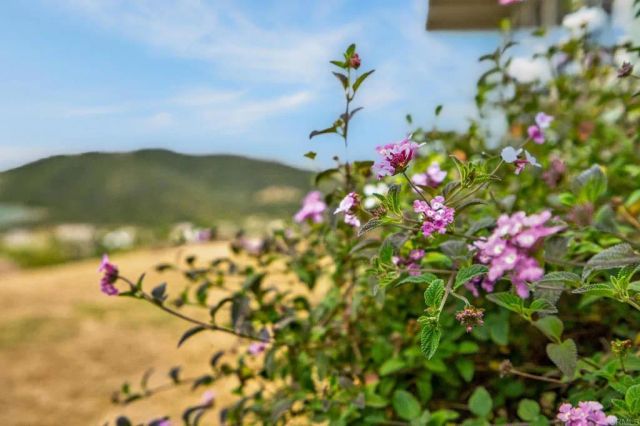 14621 Woods Valley Road, Valley Center, CA 92082