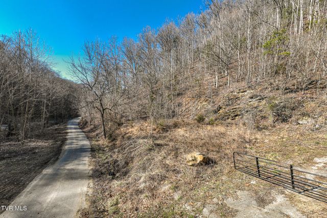 Tbd Old Carden Hollow Road, Bristol, TN 37620