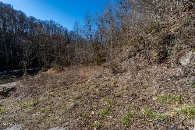 Tbd Old Carden Hollow Road, Bristol, TN 37620
