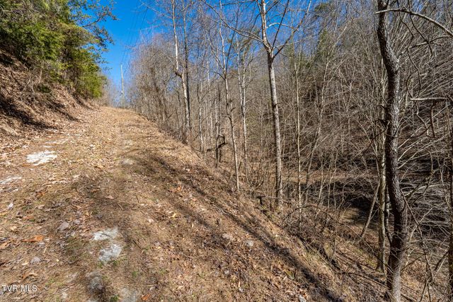 Tbd Old Carden Hollow Road, Bristol, TN 37620