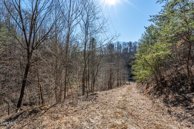 Tbd Old Carden Hollow Road, Bristol, TN 37620