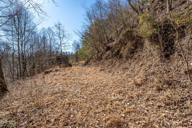 Tbd Old Carden Hollow Road, Bristol, TN 37620