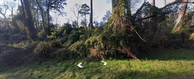 Lot 52 Overcup Drive, Spring, TX 77389