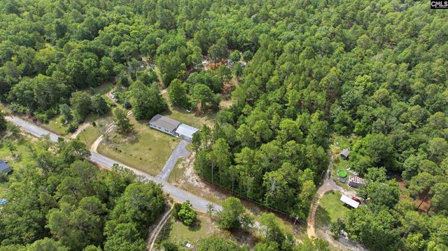 318 Catherine Drive, Pelion, SC 29123