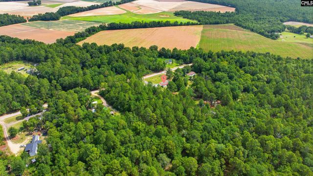 318 Catherine Drive, Pelion, SC 29123