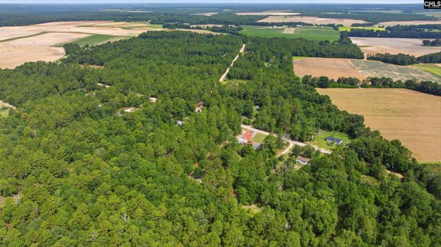 318 Catherine Drive, Pelion, SC 29123
