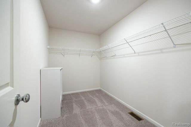 14218 Old Oak Trail, Belleville, MI 48111