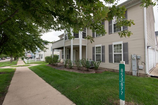 867 Symphony Drive, Aurora, IL 60504