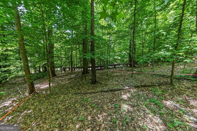 0 Collett Drive, Canton, GA 30115