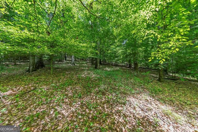 0 Collett Drive, Canton, GA 30115