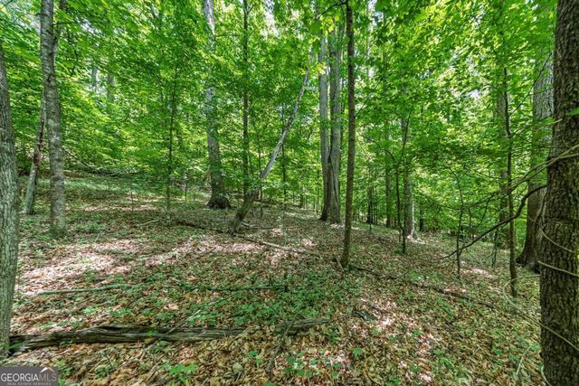 0 Collett Drive, Canton, GA 30115