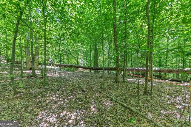 0 Collett Drive, Canton, GA 30115