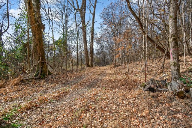 4187 Gladdice Hwy, Gainesboro, TN 38562