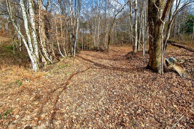 4187 Gladdice Hwy, Gainesboro, TN 38562