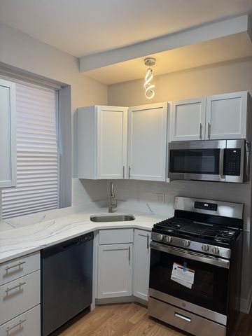 1540 S Ridgeway Avenue, Chicago, IL 60623