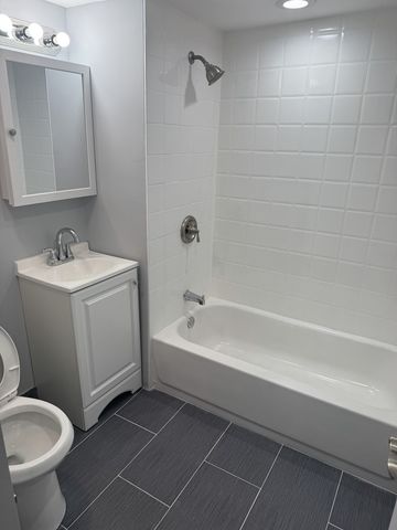 1540 S Ridgeway Avenue, Chicago, IL 60623