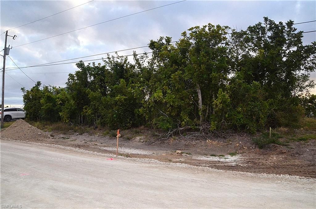 1217 NE 13th PL, CAPE CORAL, FL 33909 — photo 4