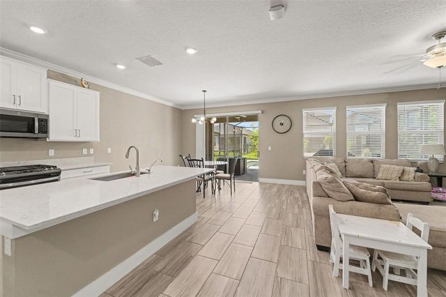 17989 FRAME BEND, Land O Lakes, FL 34638