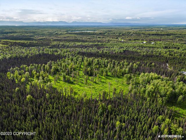 D001 W Armstrong Road, Houston, AK 99623
