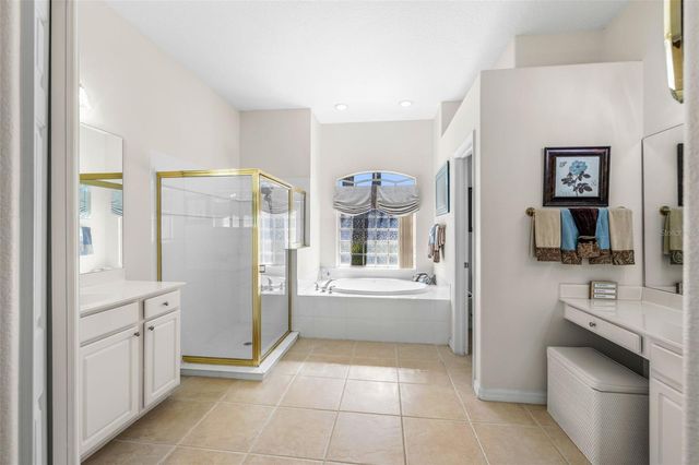 20817 CEDAR BLUFF PLACE, Land O Lakes, FL 34638