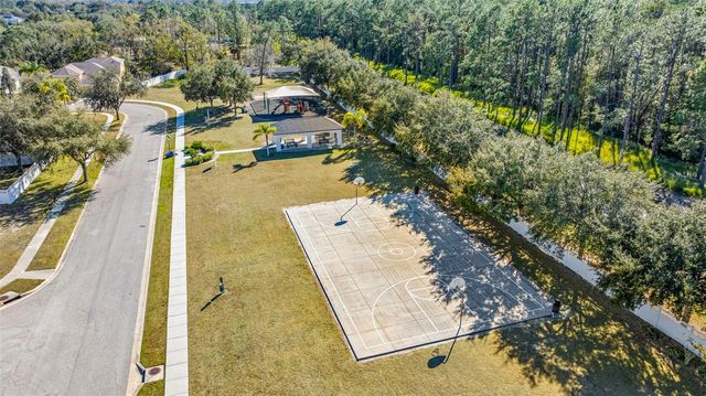 20817 CEDAR BLUFF PLACE, Land O Lakes, FL 34638
