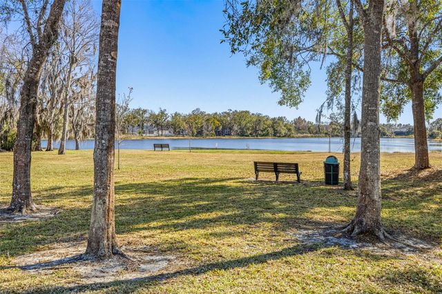 20817 CEDAR BLUFF PLACE, Land O Lakes, FL 34638