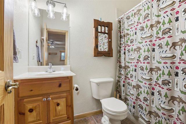 819 Hi Meadow Drive, Bailey, CO 80421