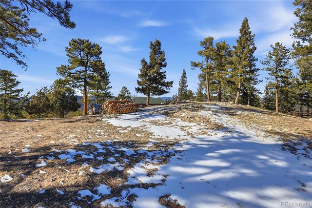 819 Hi Meadow Drive, Bailey, CO 80421