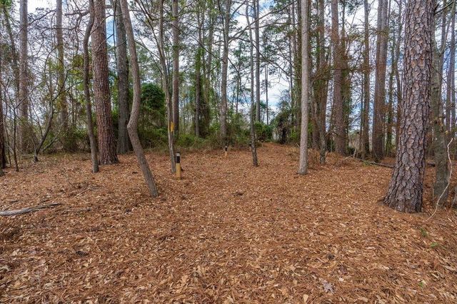 1501 Boon Dock Rd, Avinger, TX 75630