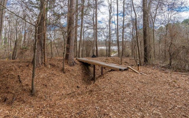 1501 Boon Dock Rd, Avinger, TX 75630