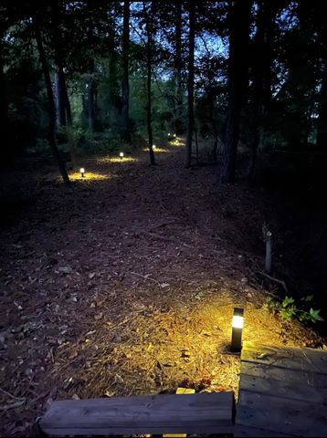 1501 Boon Dock Rd, Avinger, TX 75630