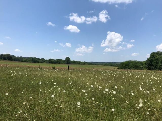 1395 S State Route 137 Lots G & H, Willow Springs, MO 65793