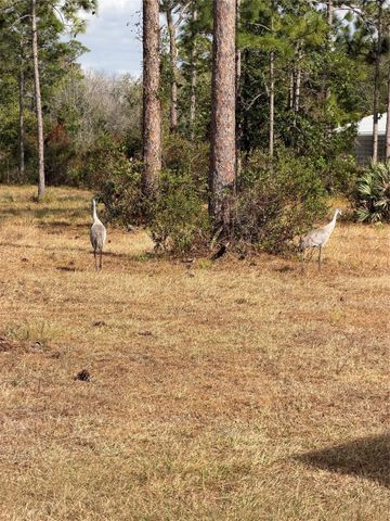 39702 NW 24th Drive, Okeechobee, FL 34972