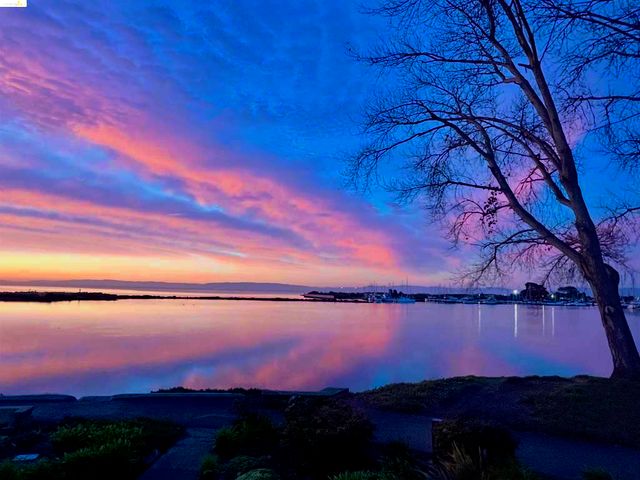 1303 Crown Dr 54, Alameda, CA 94501