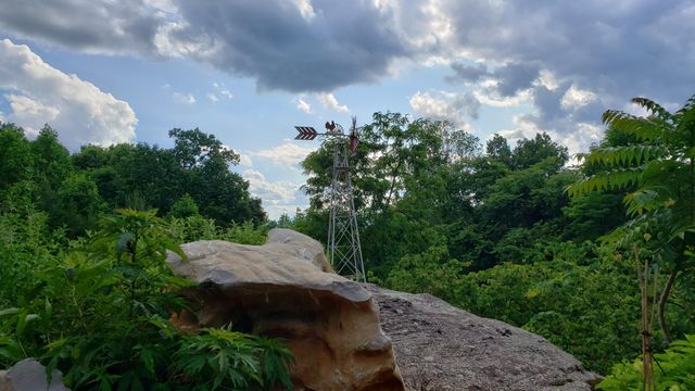 690 Ditch Gap Road, Whitwell, TN 37397