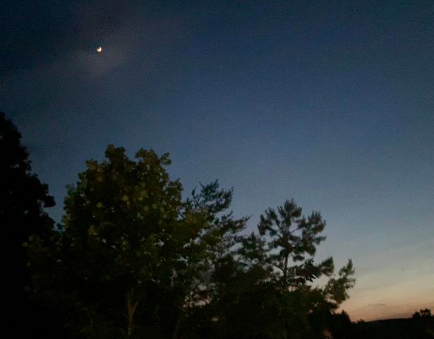 690 Ditch Gap Road, Whitwell, TN 37397