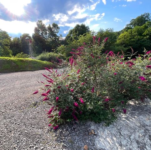 690 Ditch Gap Road, Whitwell, TN 37397