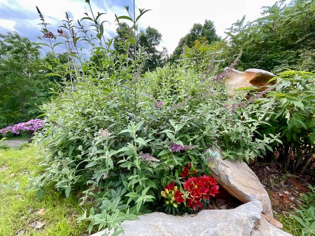 690 Ditch Gap Road, Whitwell, TN 37397