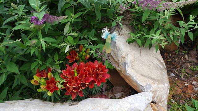 690 Ditch Gap Road, Whitwell, TN 37397