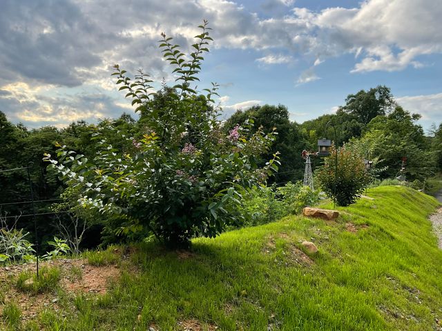 690 Ditch Gap Road, Whitwell, TN 37397