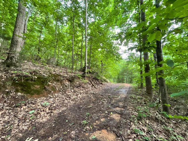 690 Ditch Gap Road, Whitwell, TN 37397