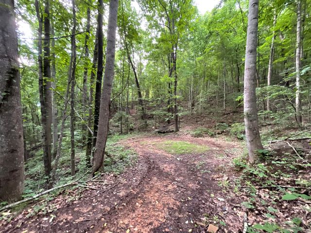 690 Ditch Gap Road, Whitwell, TN 37397